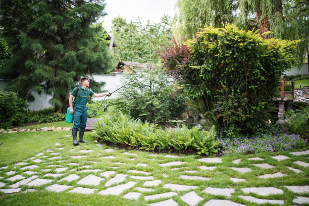 Pest Prevention Services in Brambleton, VA