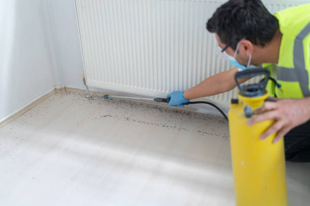 Best Exterminator Services  in Brambleton, VA