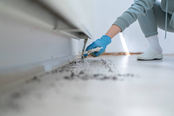 Best Pest Removal Services  in Brambleton, VA